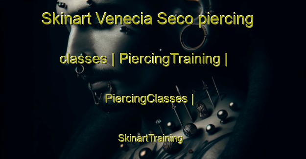 Skinart Venecia Seco piercing classes | PiercingTraining | PiercingClasses | SkinartTraining-Mexico